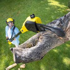 Lawn Maintenance Plans in Brookside, NJ