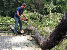 Best Lawn Grading and Leveling  in Brookside, NJ