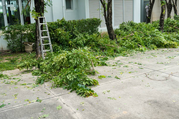 Best Tree Cabling and Bracing  in Brookside, NJ