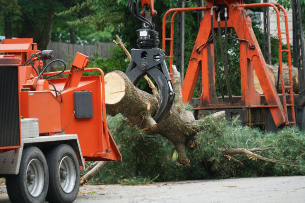 Best Tree and Shrub Care  in Brookside, NJ